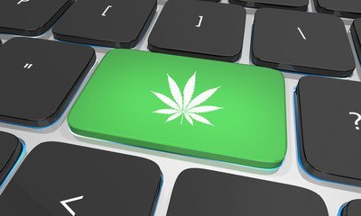 acquistare-cannabis-light-online