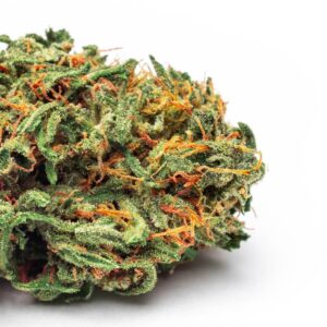 varietà cannabis legale