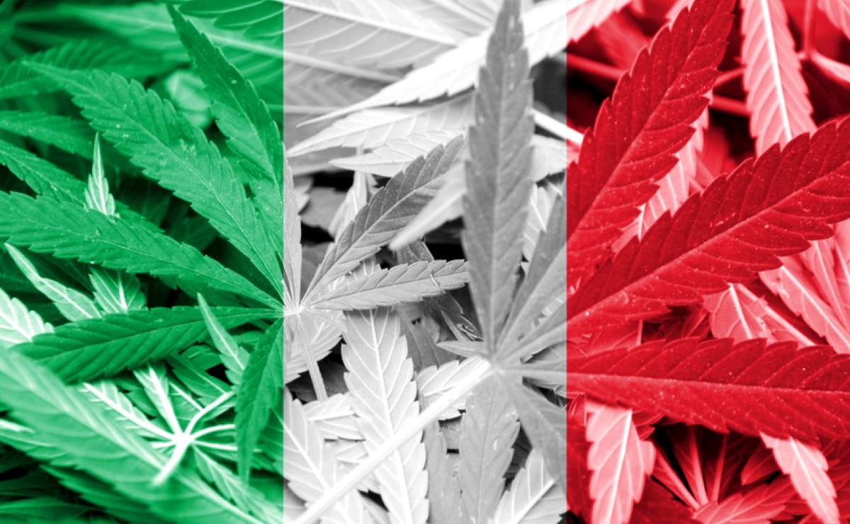 cannabis legale italia