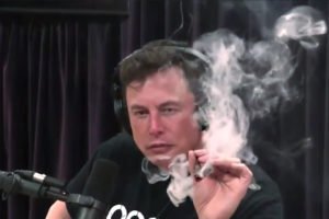 Elon musk fuma marijuana