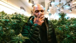 mike tyson smoking marijuana