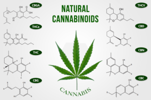 cannabis cannabinoidi