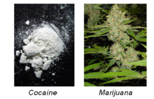 effetti marijuana