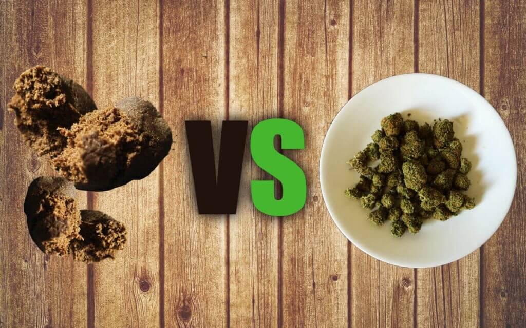 hashish vs marijuana