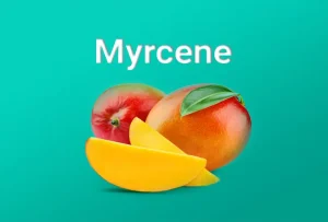 myrcene cannabis