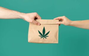 cannabis legale milano