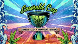 cannabis cup emerald