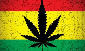 Jamaica weed