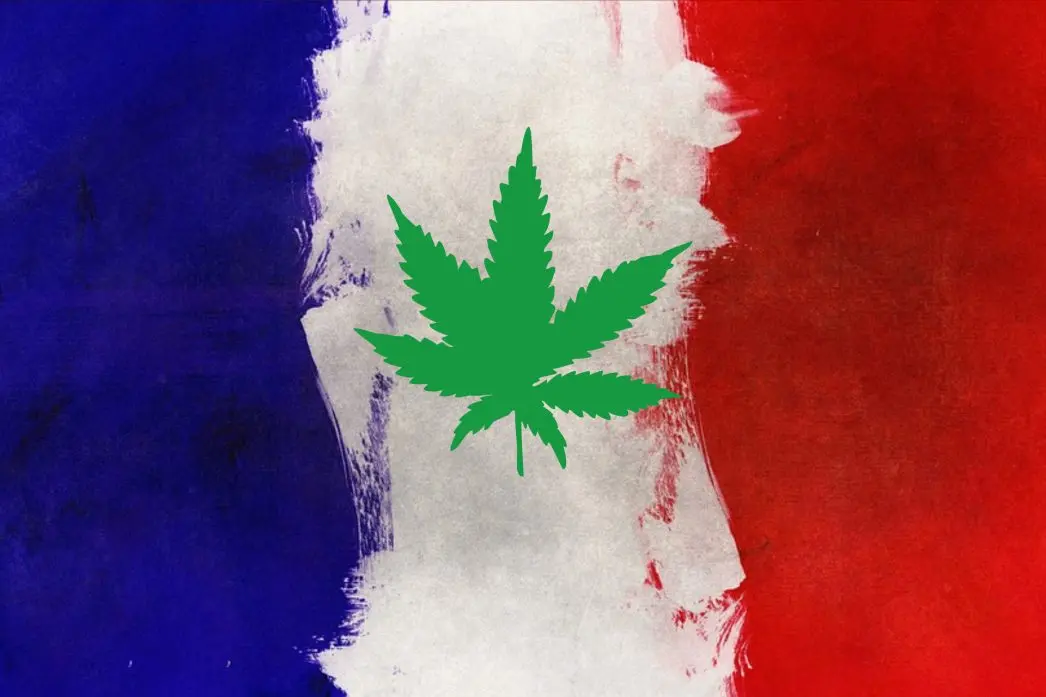 legalizzazione cannabis francia