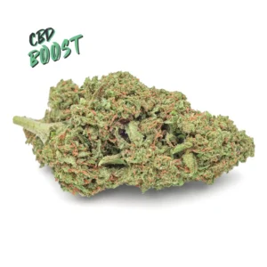 amnesia CBD boost