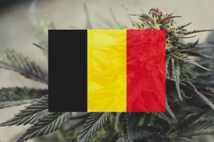 legalizzazione cannabis Belgio