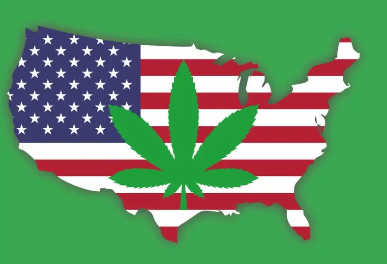 Stati americani in cui è legale la marijuana - JustBob