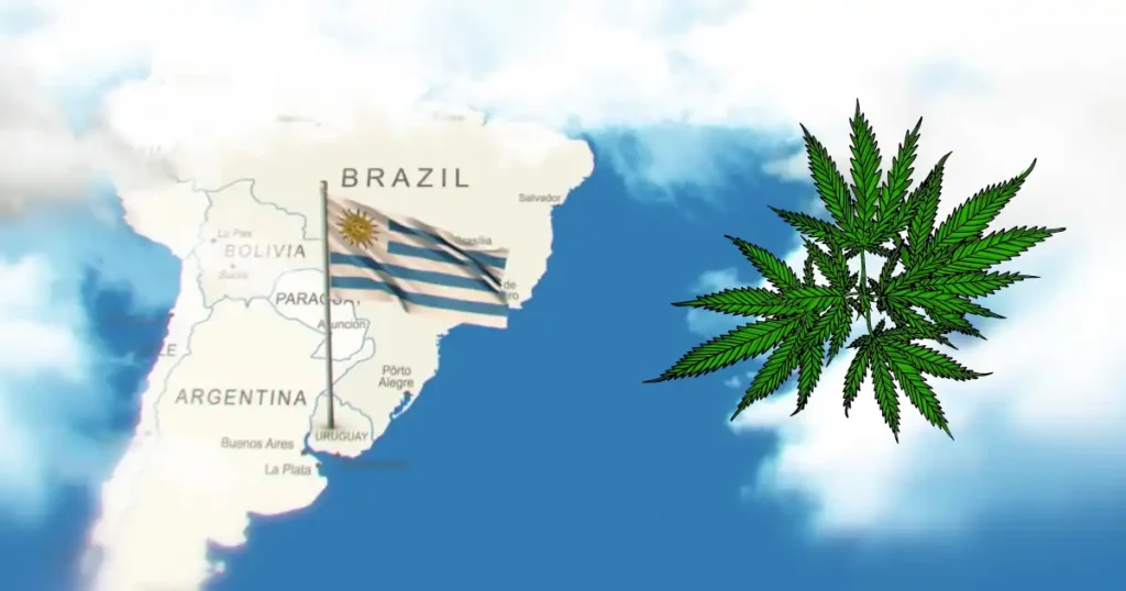 cannabis legale in uruguay