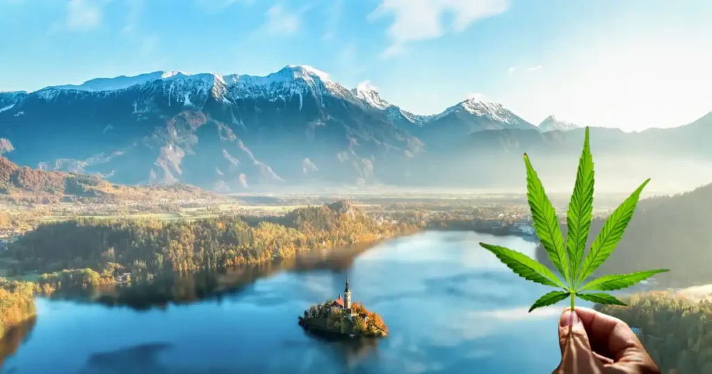 Cannabis legale in Slovenia