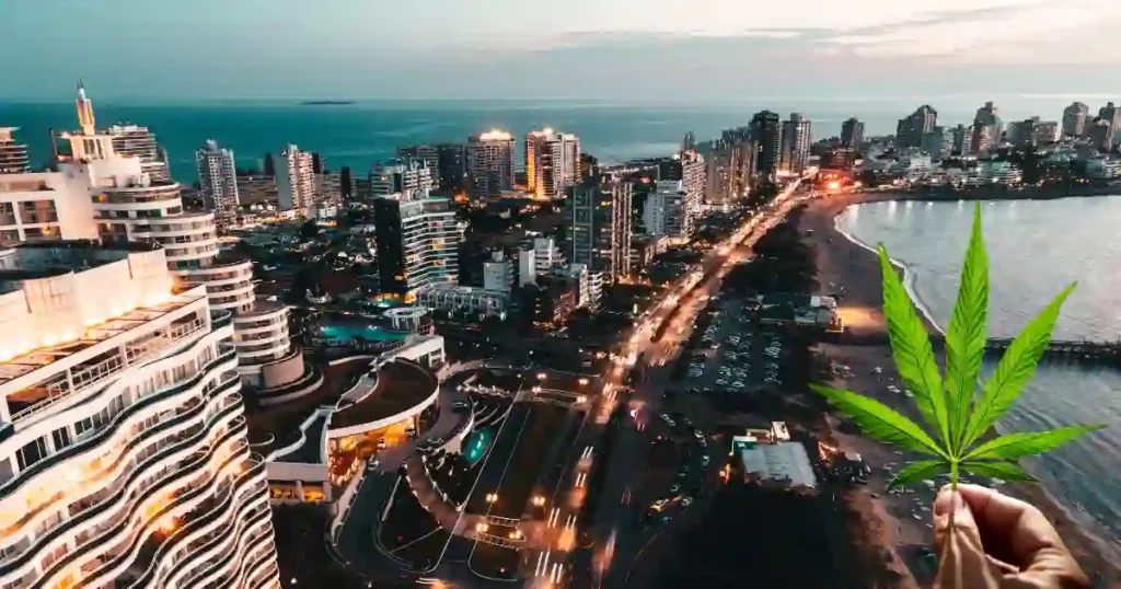 cannabis legale in uruguay