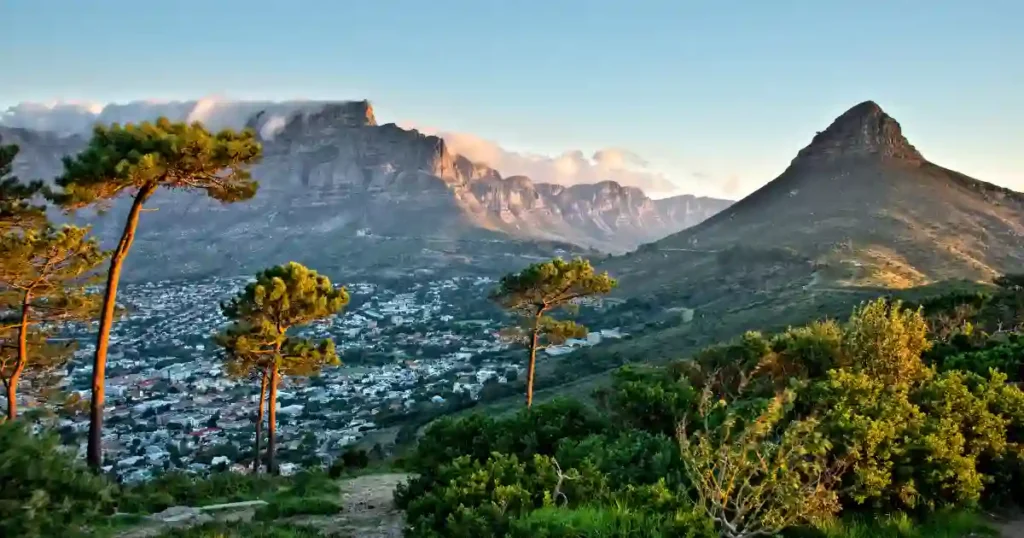 marijuana legale sud africa