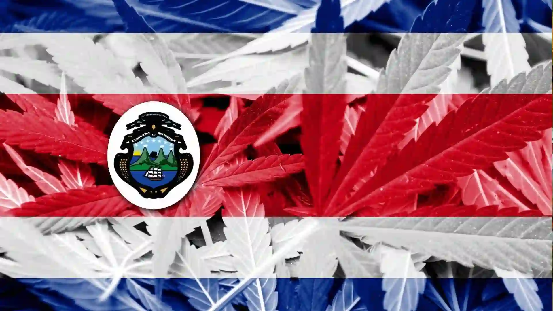 legalizzazione cannabis Costa Rica