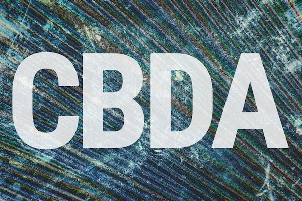 cos'è il CBDA?